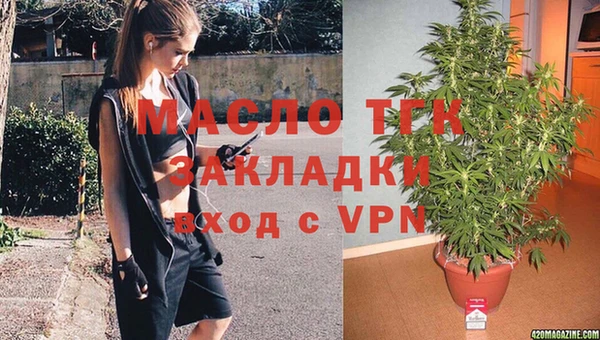 тгк Нея