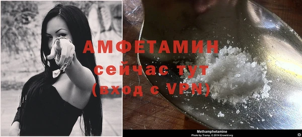 прущие грибы Данков
