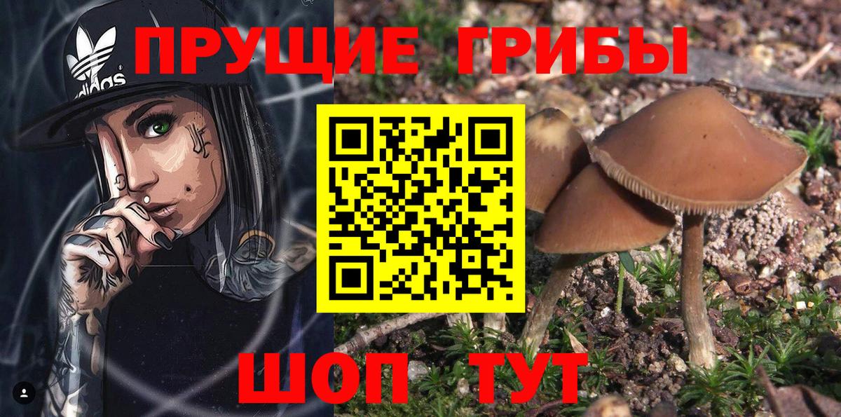 Новотроицк  дарнет шоп  Вход с VPN  Галлюциногенные грибы прущие грибы 