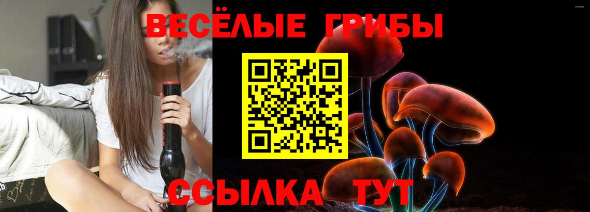 Псилоцибиновые грибы мухоморы Новотроицк